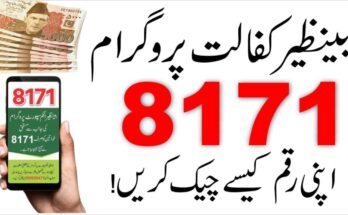 Benazir Income Support Programme: A Comprehensive Overview