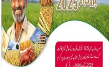 Gandum Support Program 2025: Empowering Wheat Farmers for a Sustainable Future