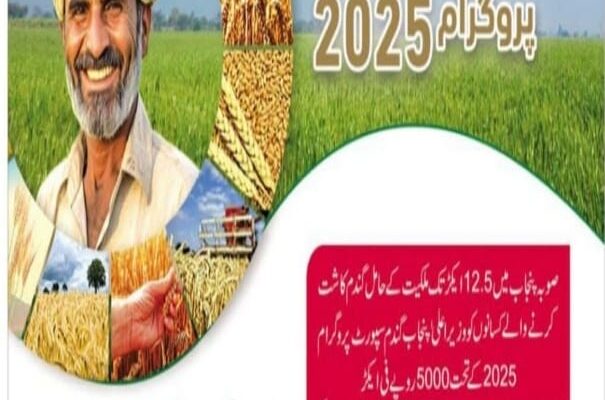 Gandum Support Program 2025: Empowering Wheat Farmers for a Sustainable Future