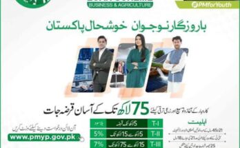 The Prime Minister’s Youth Loan Scheme: Rise with Youth Loans